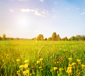 Similar image 7965602