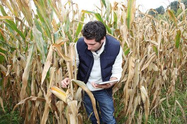 Similar image 7965745