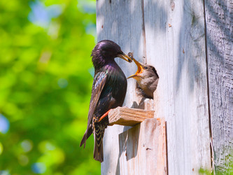 Similar image 7965761