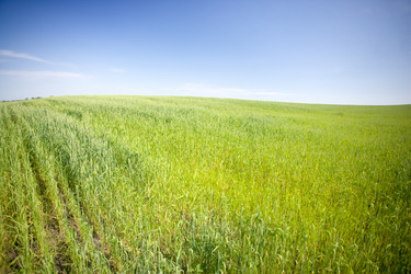 Similar image 7965792