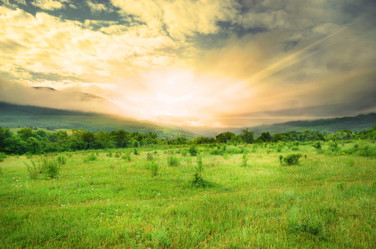 Similar image 7965834