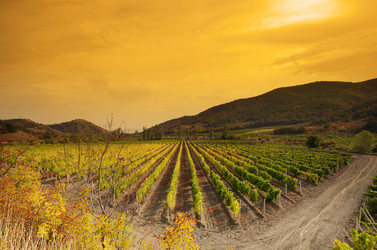 Similar image 7965870