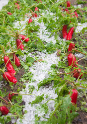 Similar image 7965897