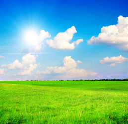 Similar image 7965928