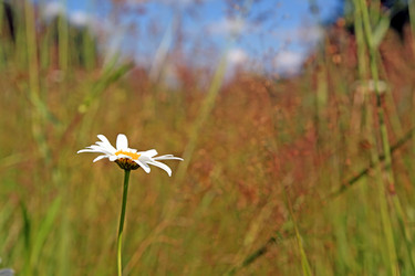 Similar image 7965972