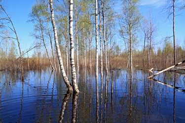 Similar image 7965975