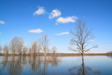 Similar image 7965979