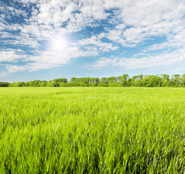 Similar image 7965990