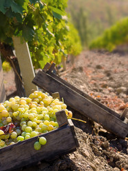 Similar image 7966017