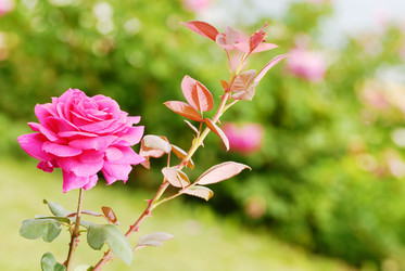 Similar image 7966033