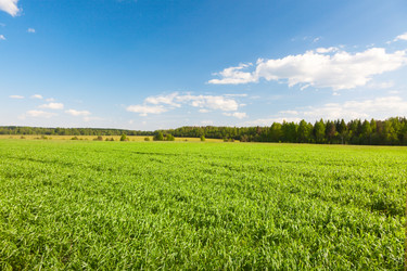 Similar image 7966038