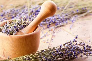 Similar image 7966046