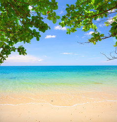 Similar image 7966053