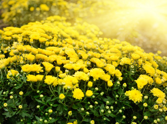 Similar image 7966077