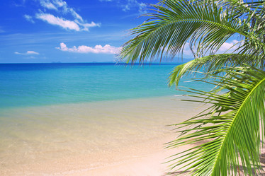 Similar image 7966131