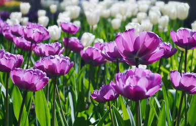 Similar image 7966151