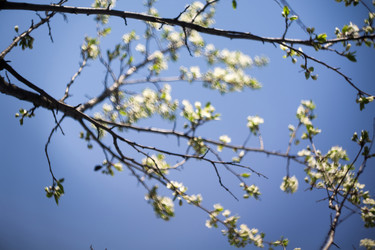 Similar image 7966197