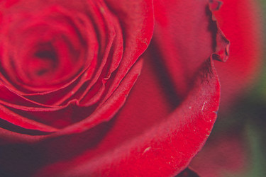 Similar image 7966230