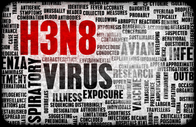 Similar image 7966358