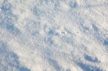 Similar image 7966956