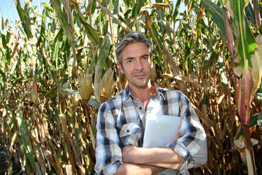 Similar image 7966958