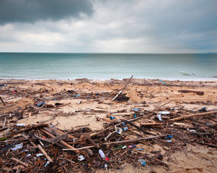 Similar image 7966968