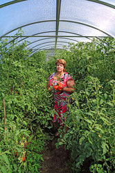 Similar image 7966982