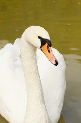 Similar image 7967006