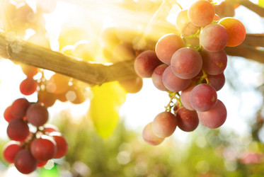 Similar image 7967029