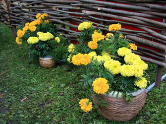 Similar image 7967053