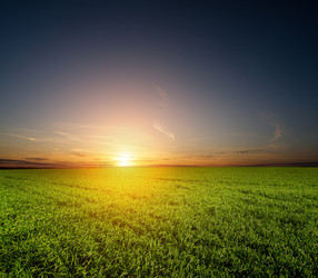 Similar image 7967063