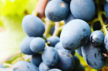 Similar image 7967065