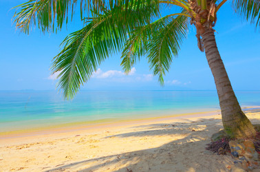 Similar image 7967119