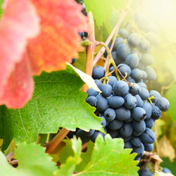 Similar image 7967151