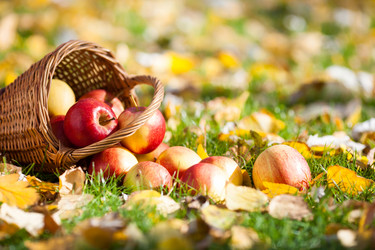 Similar image 7967153