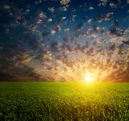 Similar image 7967234