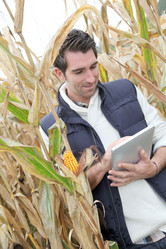 Similar image 7967257