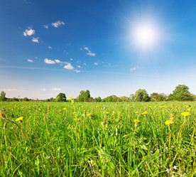 Similar image 7967282