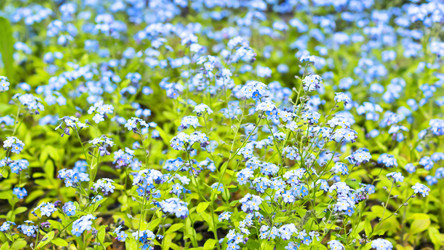 Similar image 7967307