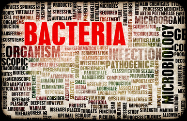 Similar image 7967322