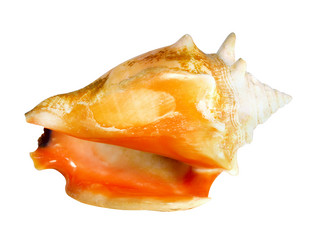 Similar image 7967370