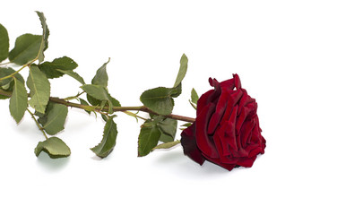 Similar image 7967377