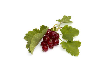 Similar image 7967385