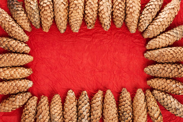 Similar image 7967446