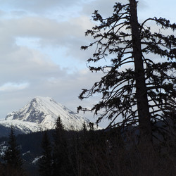 Similar image 7967484