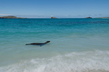 Similar image 7967492