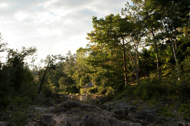 Similar image 7967498