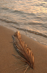 Similar image 7967500