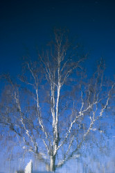 Similar image 7967509