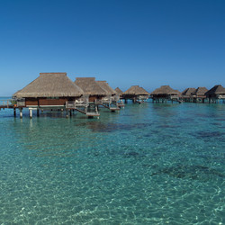 Similar image 7967515